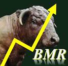 BullMarketRun